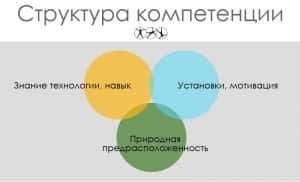 Структура компетенции