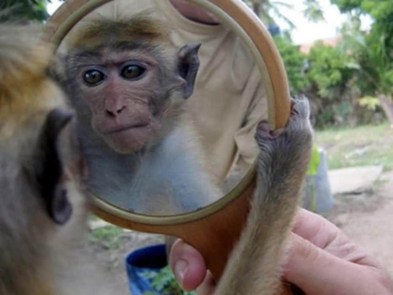 Тренинг для руководителей и топ-менеджеров "Управление корпоративной культурой"