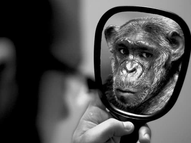 корпоративная культура