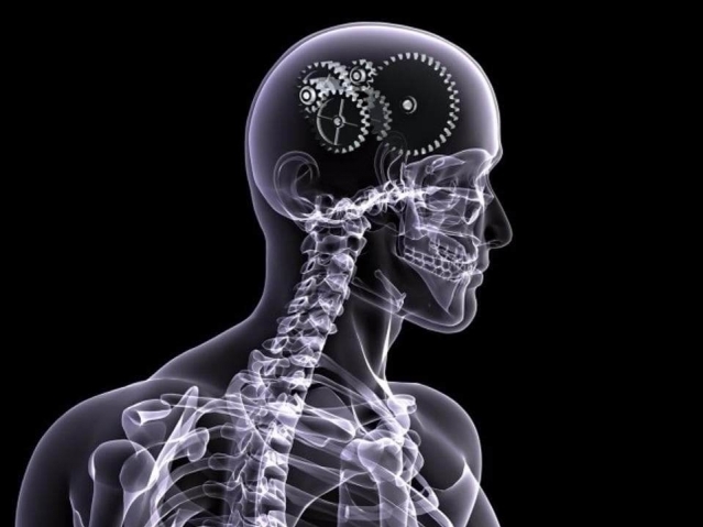 Тренинг Проведение собеседований