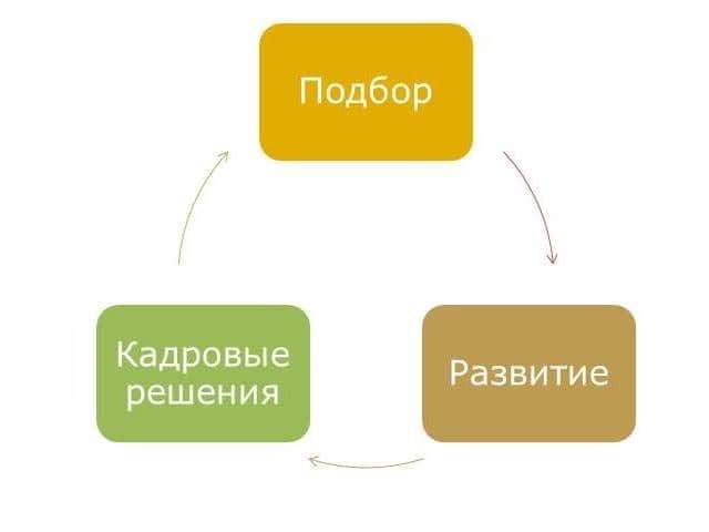 области применения оценки персонала