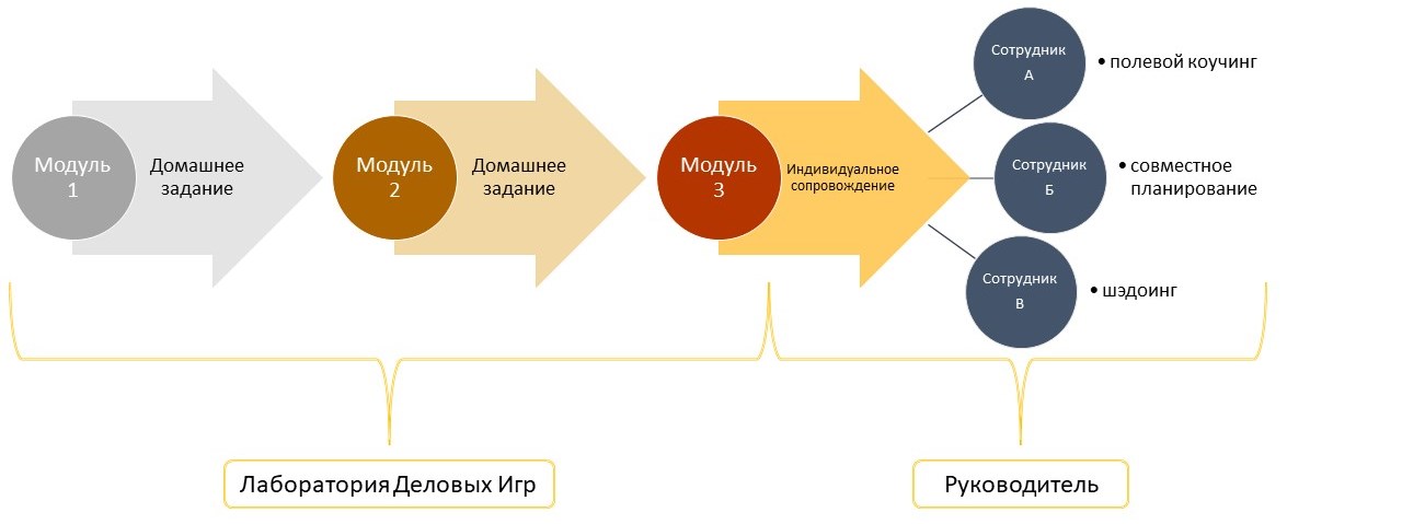 Процесс обучения и развития сотрудника после онлайн тренинга