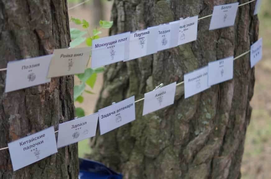 тимбилдинг веревочный курс